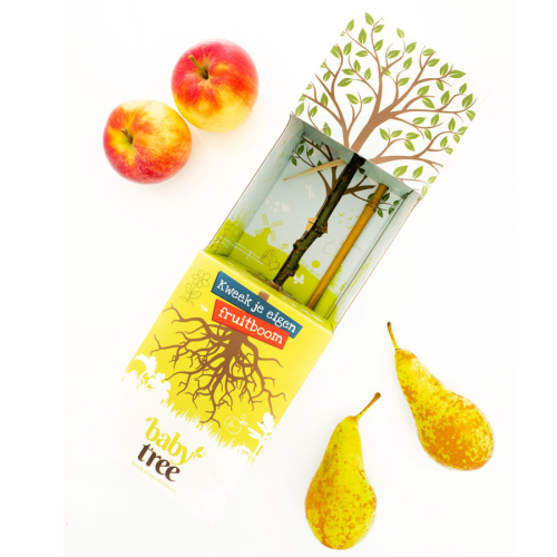 Baby Tree fruit tree gift - Image 2